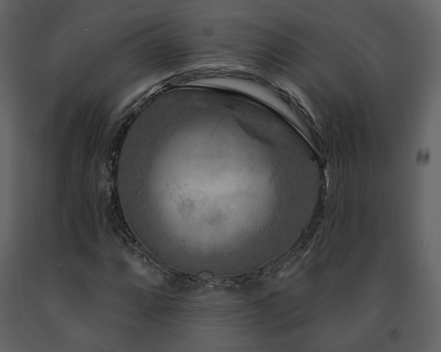 X0000091721064200708241344