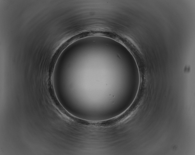 X0000091721065200708241344