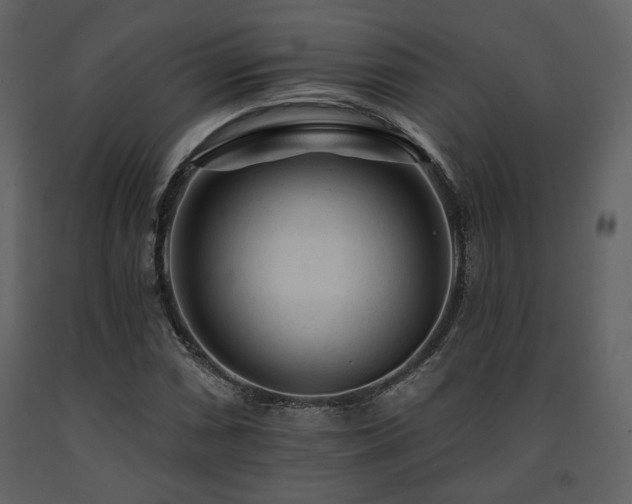 X0000091721066200708241344