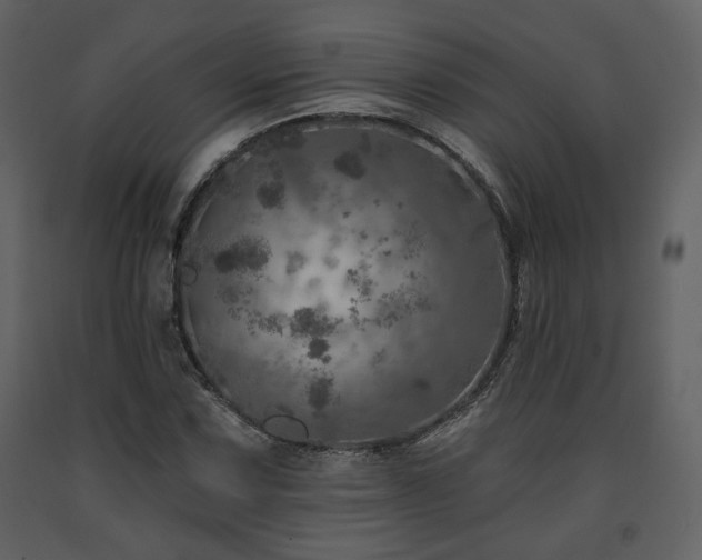 X0000091721067200708241344