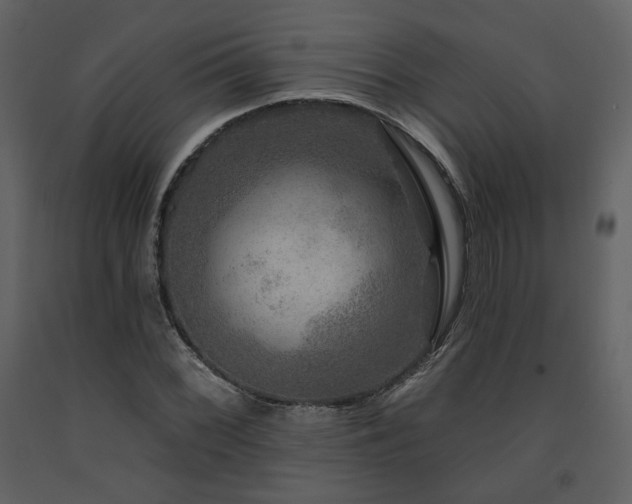 X0000091721068200708241344