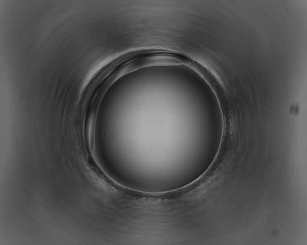 X0000091721069200708241344