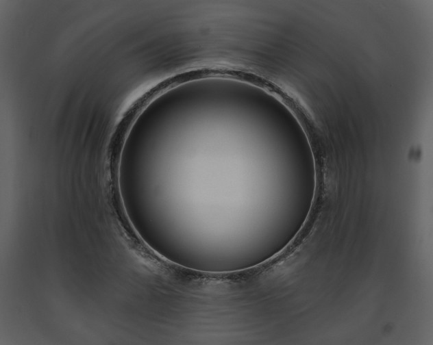 X0000091721070200708241344