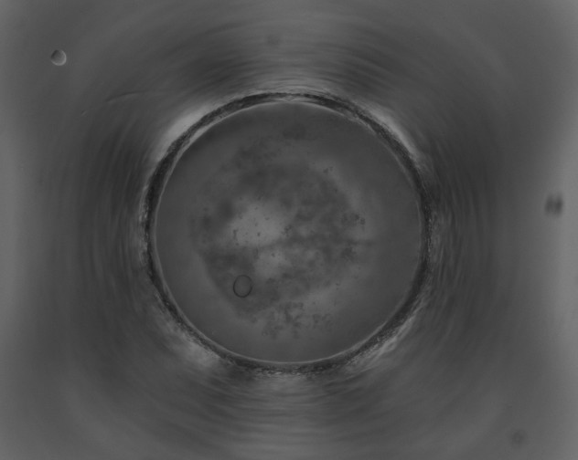 X0000091721071200708241344