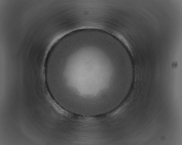 X0000091721072200708241344