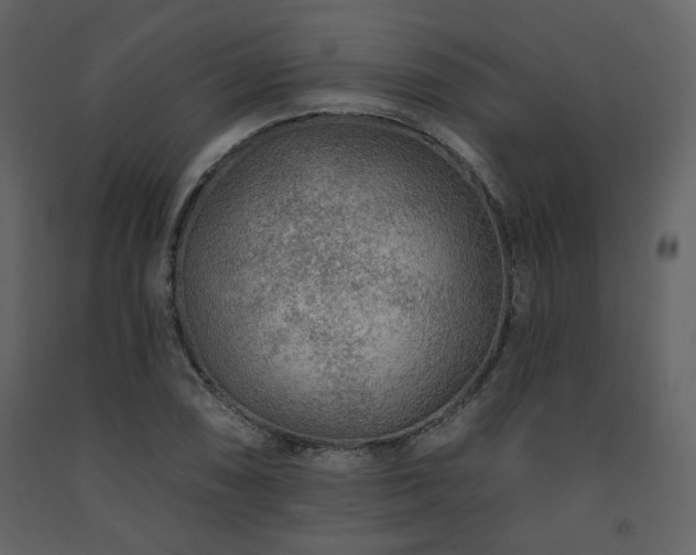 X0000091721074200708241344