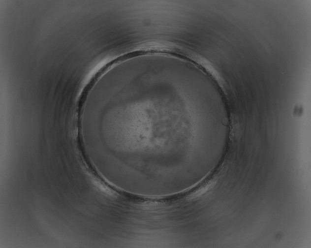 X0000091721075200708241344