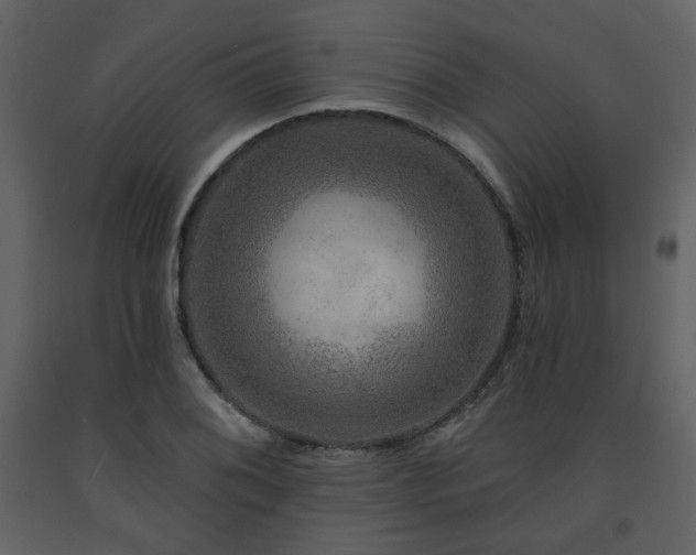 X0000091721076200708241344