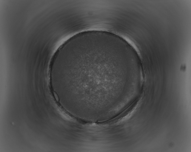 X0000091721077200708241344