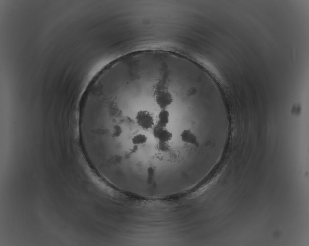 X0000091721079200708241344