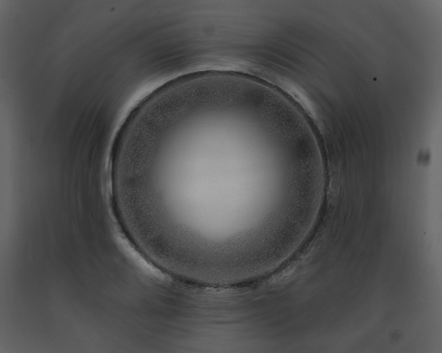 X0000091721080200708241344