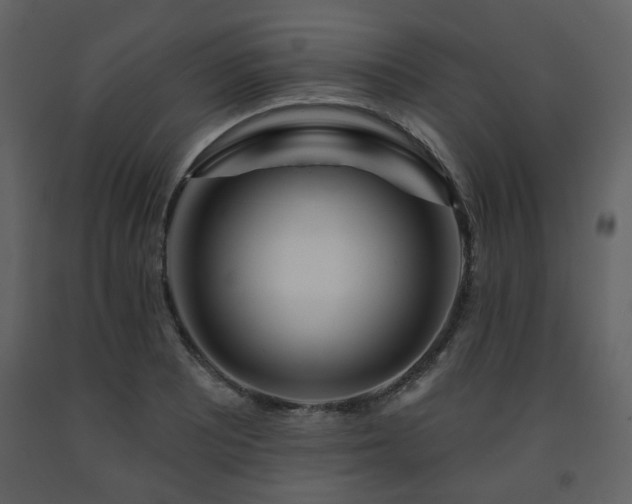 X0000091721081200708241344