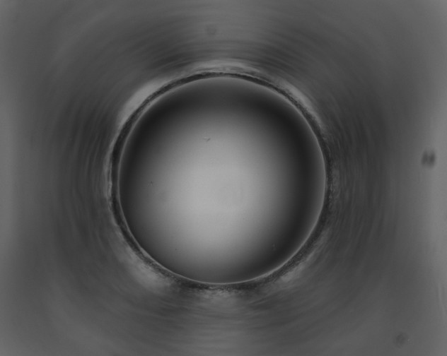 X0000091721082200708241344