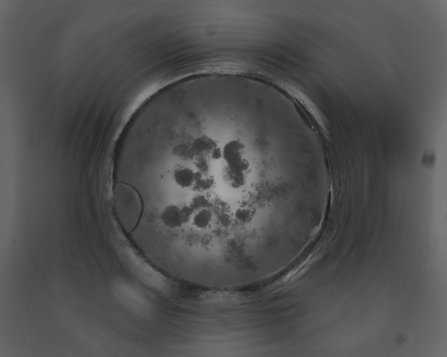 X0000091721083200708241344