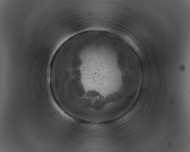X0000091721084200708241344