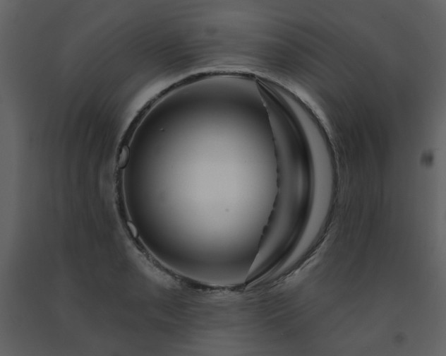 X0000091721085200708241344
