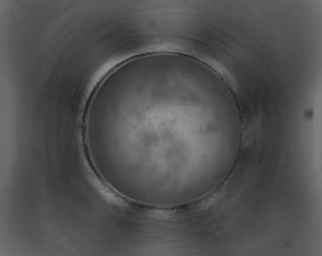 X0000091721086200708241344