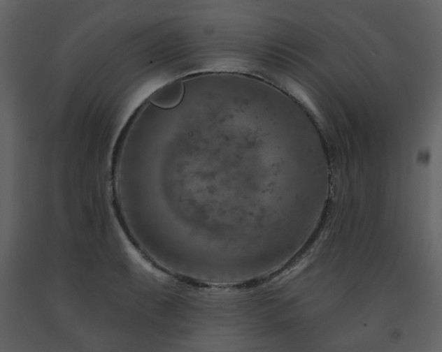 X0000091721087200708241344