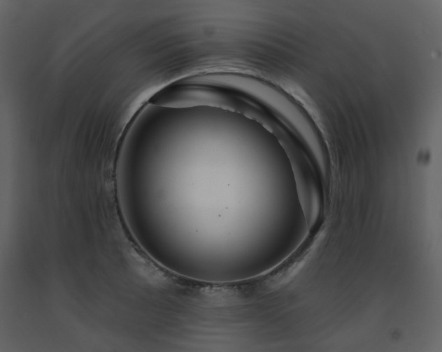 X0000091721089200708241344
