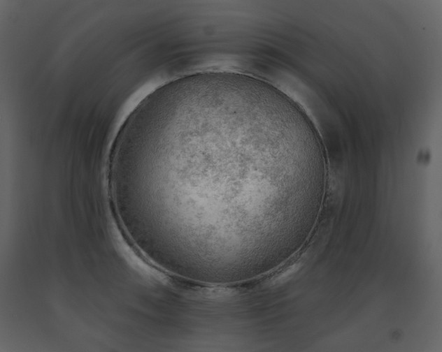 X0000091721090200708241344