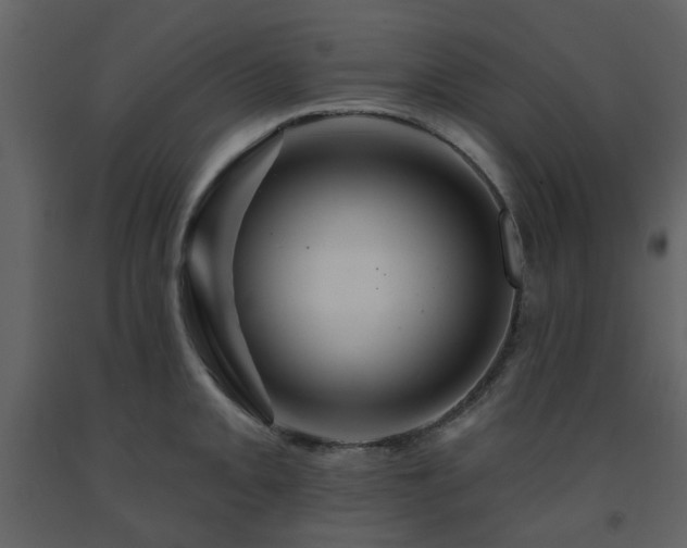 X0000091721093200708241344