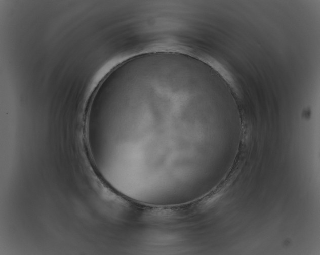 X0000091721094200708241343