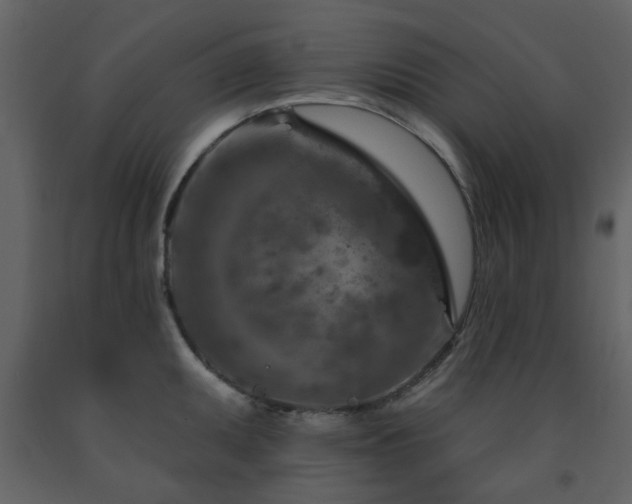 X0000091721095200708241343