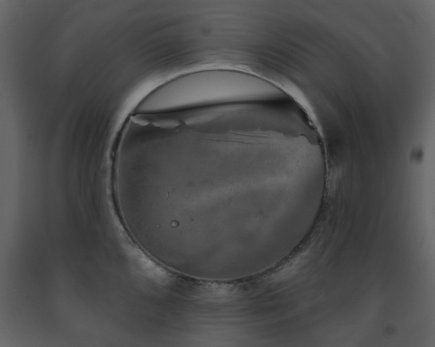 X0000091721096200708241343