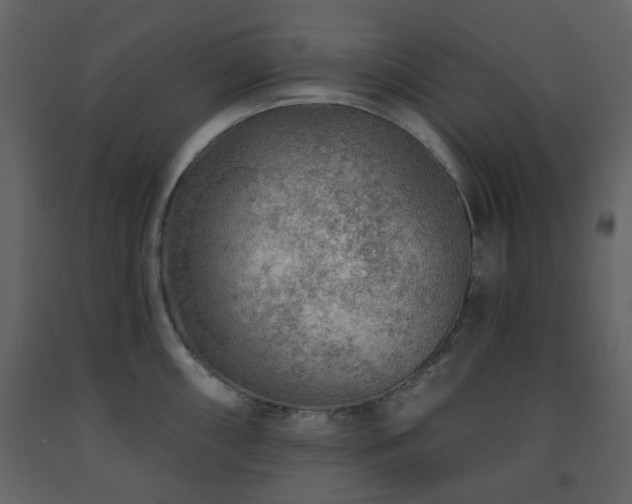 X0000091721098200708241343