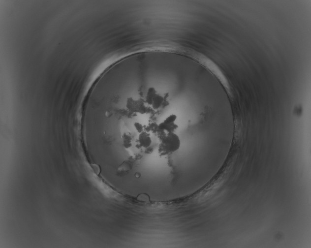 X0000091721099200708241343