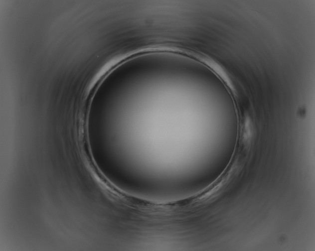 X0000091721101200708241343