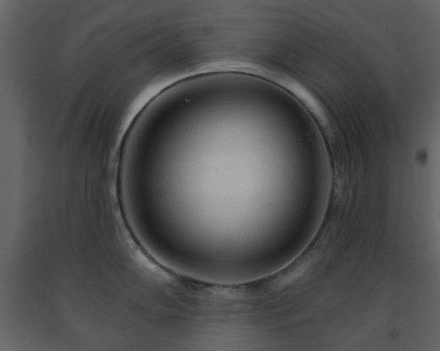 X0000091721102200708241343