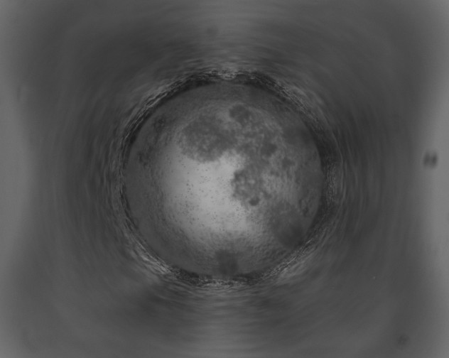 X0000091721105200708241343