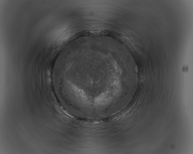 X0000091721106200708241343