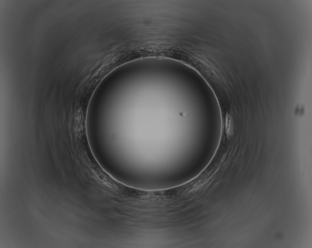 X0000091721107200708241343