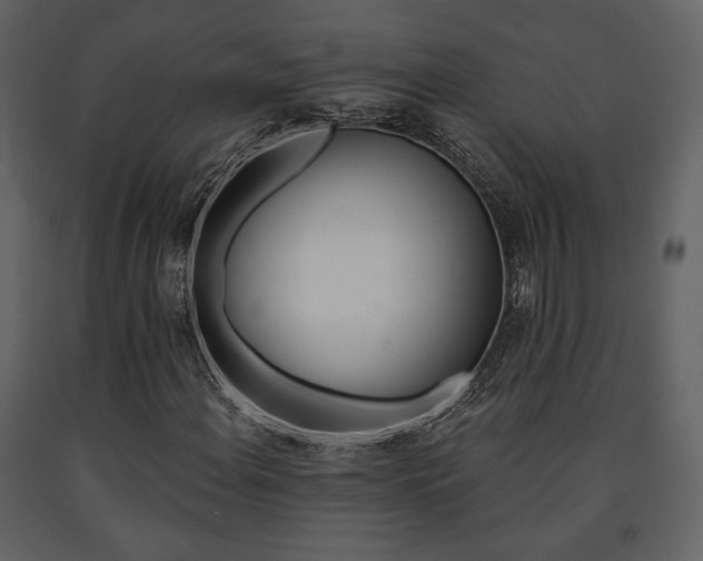 X0000091721108200708241343