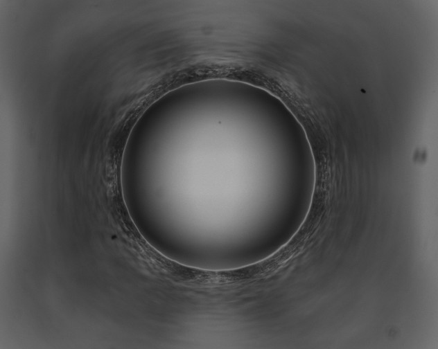 X0000091721109200708241343
