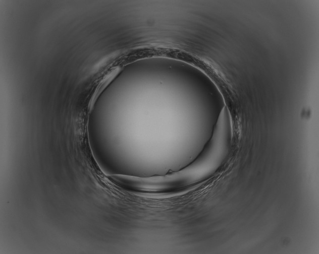 X0000091721110200708241343