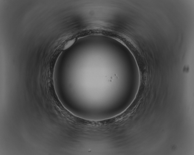 X0000091721111200708241343