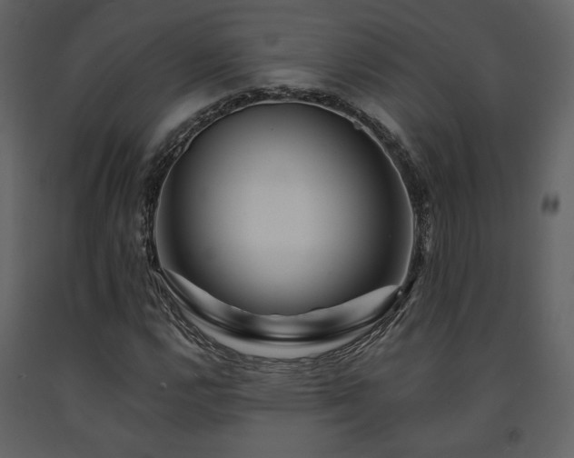 X0000091721112200708241343