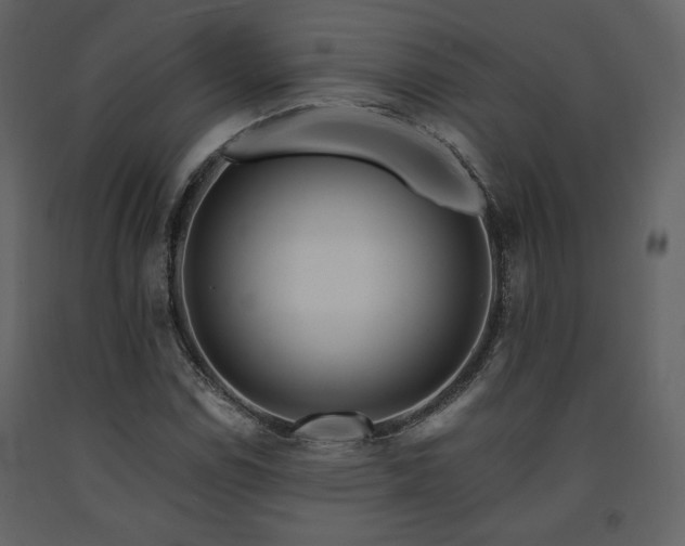 X0000091721114200708241343