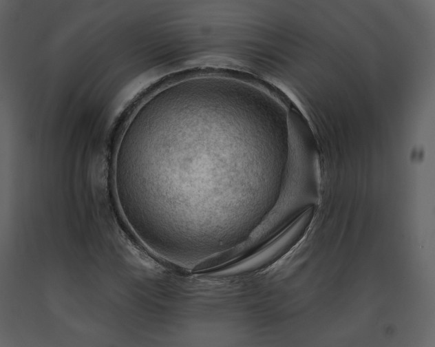X0000091721115200708241343
