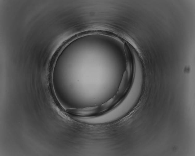 X0000091721116200708241343