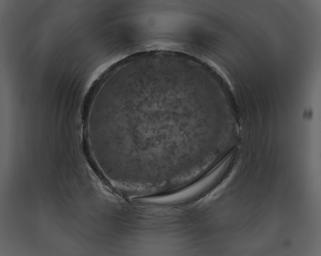 X0000091721117200708241343