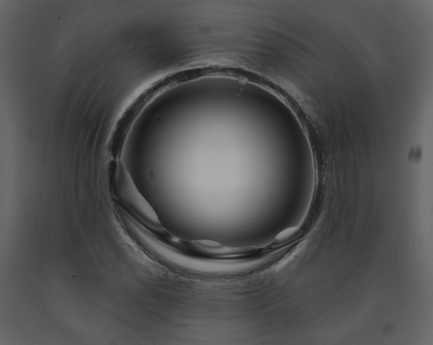 X0000091721118200708241343