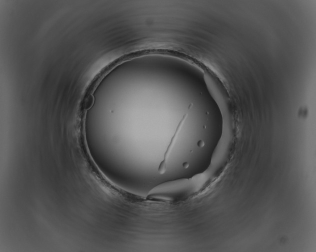X0000091721119200708241343