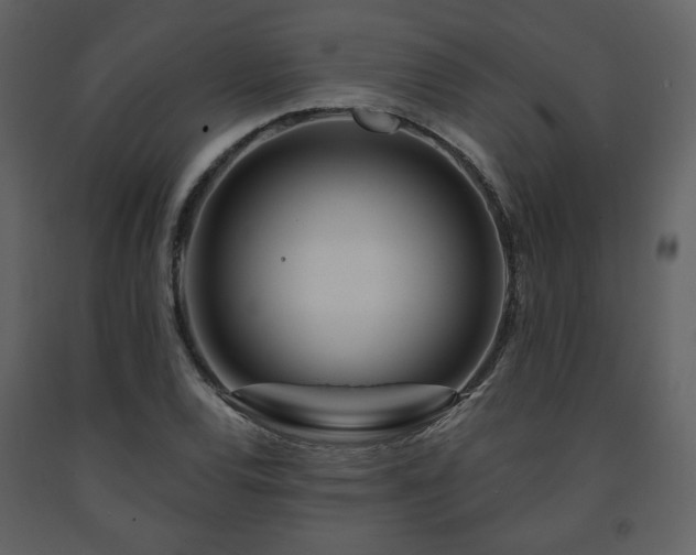 X0000091721120200708241343