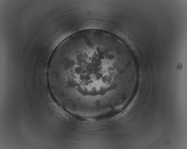 X0000091721121200708241343