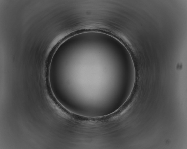 X0000091721122200708241343