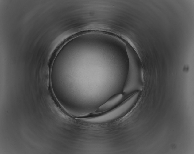X0000091721123200708241343